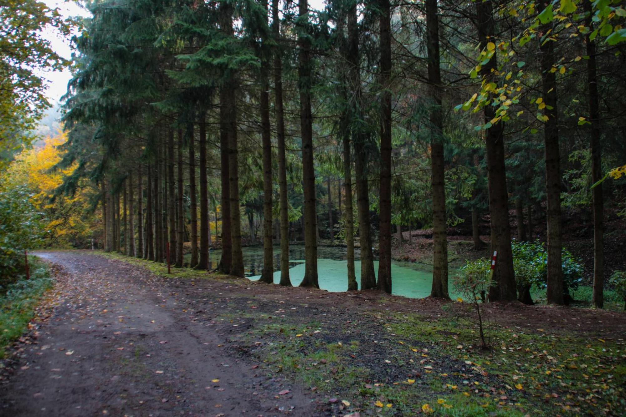 Fh "Baeren Ecke" Am See Im Hessischen Bergland Кирххайм Экстерьер фото