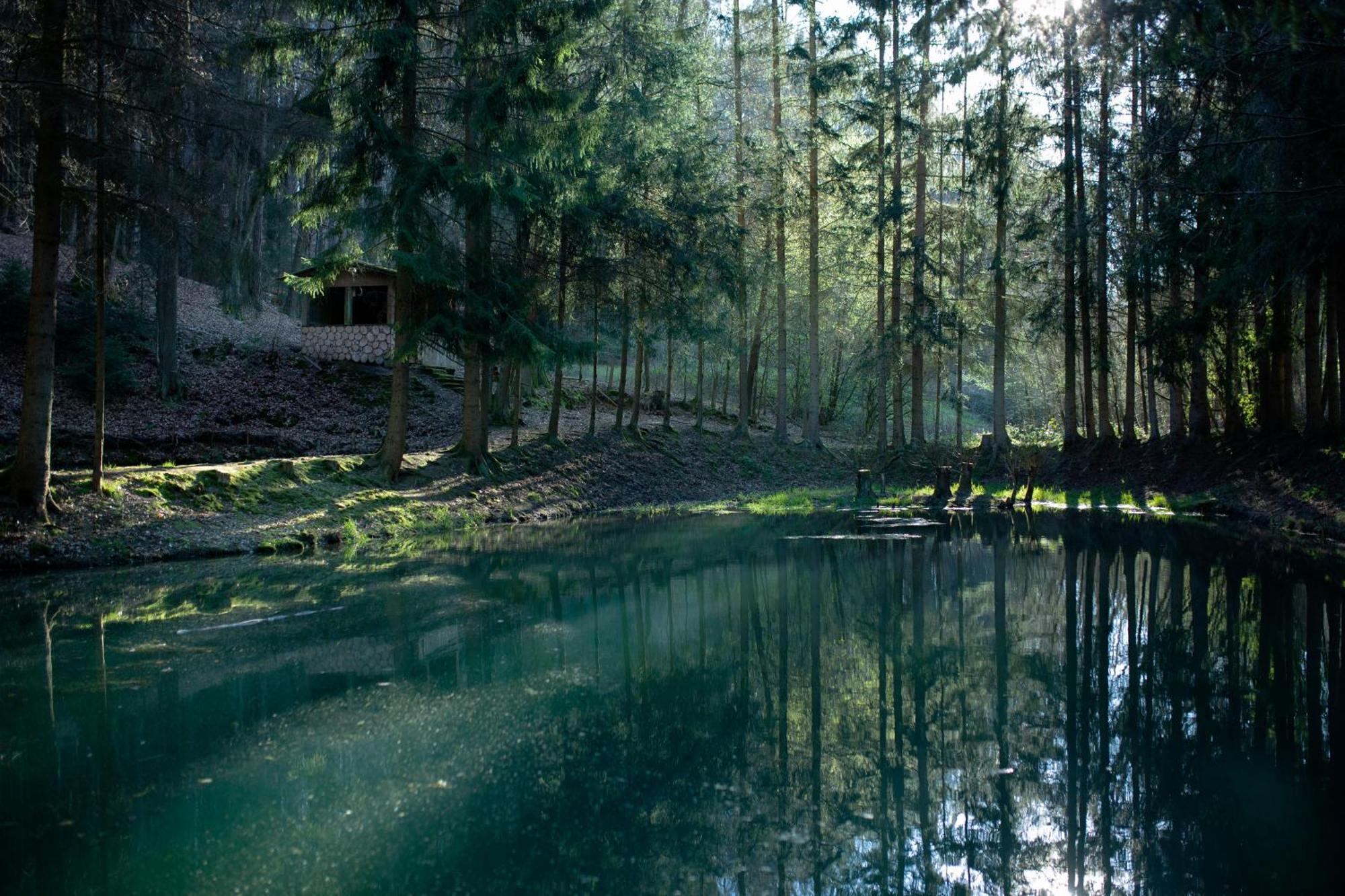 Fh "Baeren Ecke" Am See Im Hessischen Bergland Кирххайм Экстерьер фото